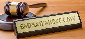 Employment Law Know Your Rights as an Employee